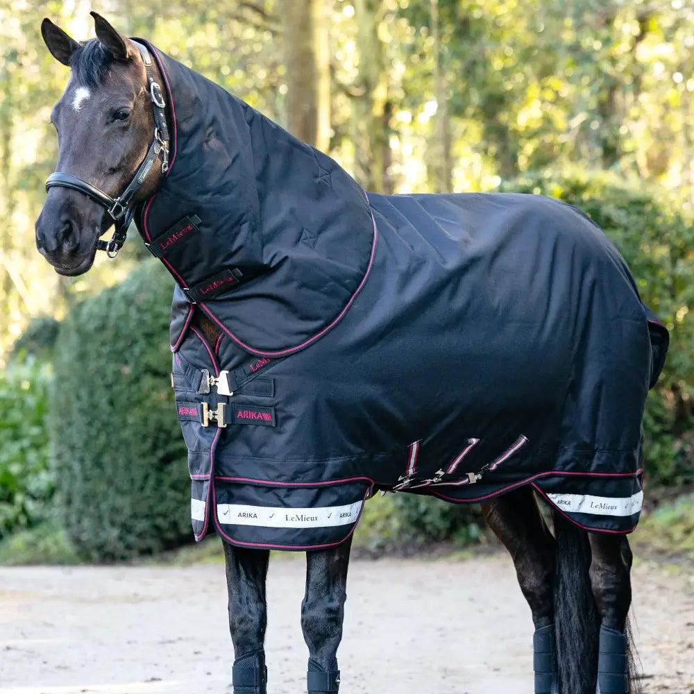 Black lemieux arika storm-tek rug 100g with maroon trim reflective stripes silver buckles and arika logo