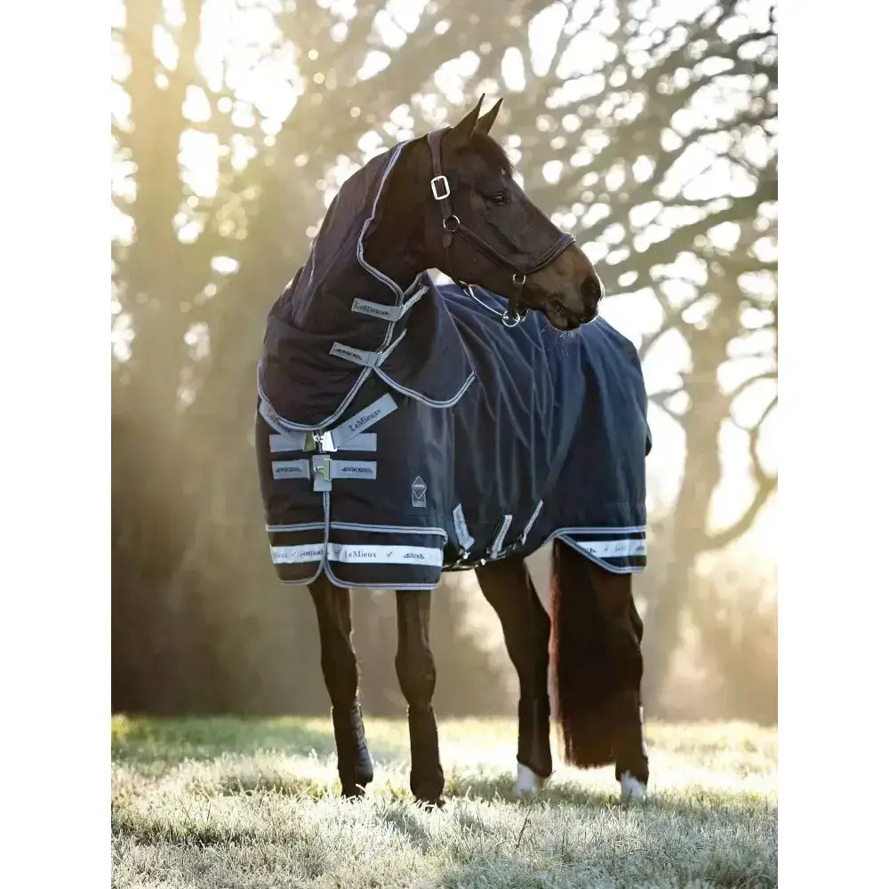 Navy blue lemieux arika storm-tek rug 350g horse blanket with white trim and silver buckles for beta innovation gold