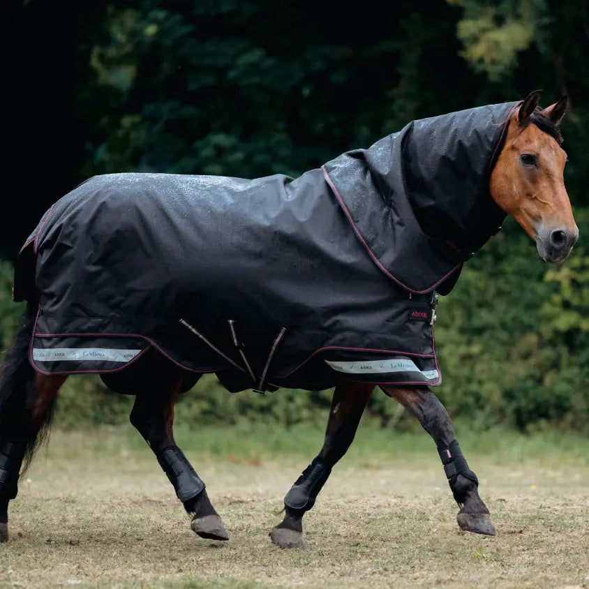 Black waterproof lemieux arika storm-tek rug 50g with red trim reflective stripes and hood for horse head