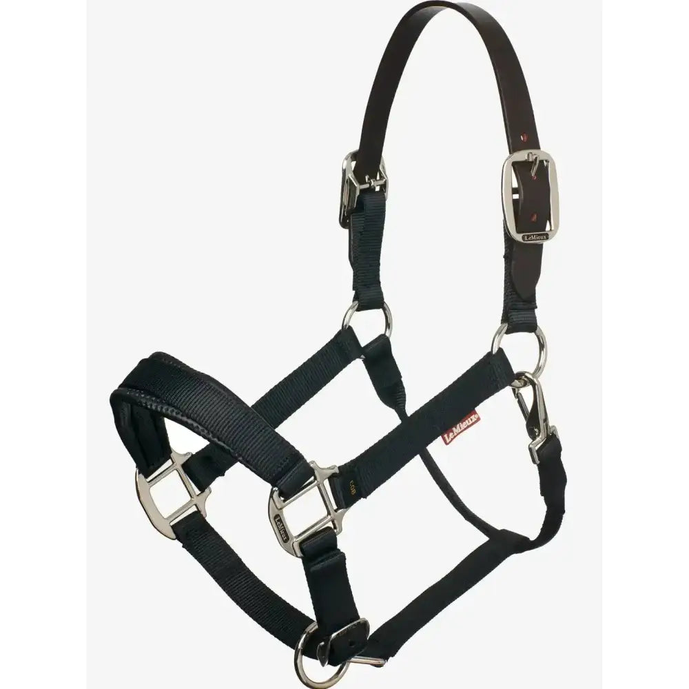 Black leather horse halter lemieux break away headcollar with silver buckles for easy headcollar and heavy load avoiding