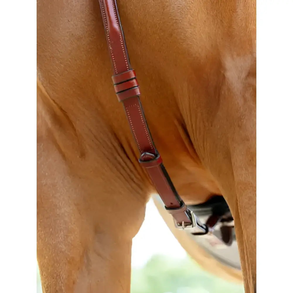 Brown leather lemieux breastplate strap with stitched edges chestnut silver and martingale attachment metal hardware