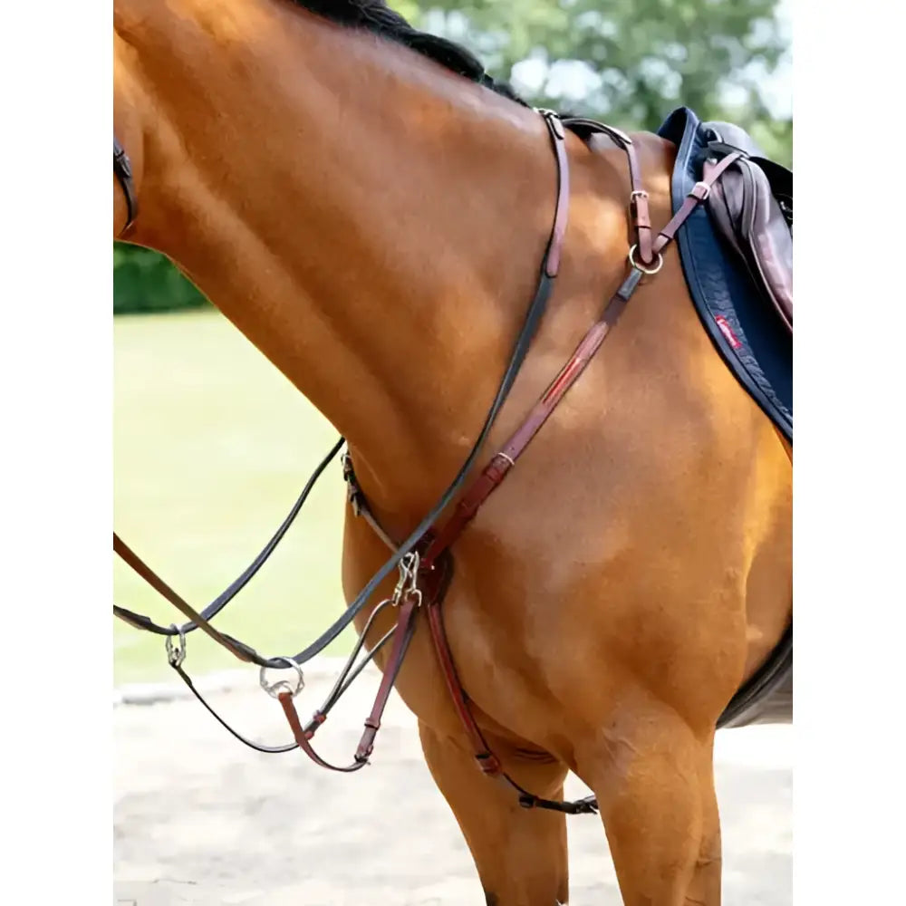 Lemieux breastplate chestnut silver with brown leather, black straps, silver hardware, and martingale attachment