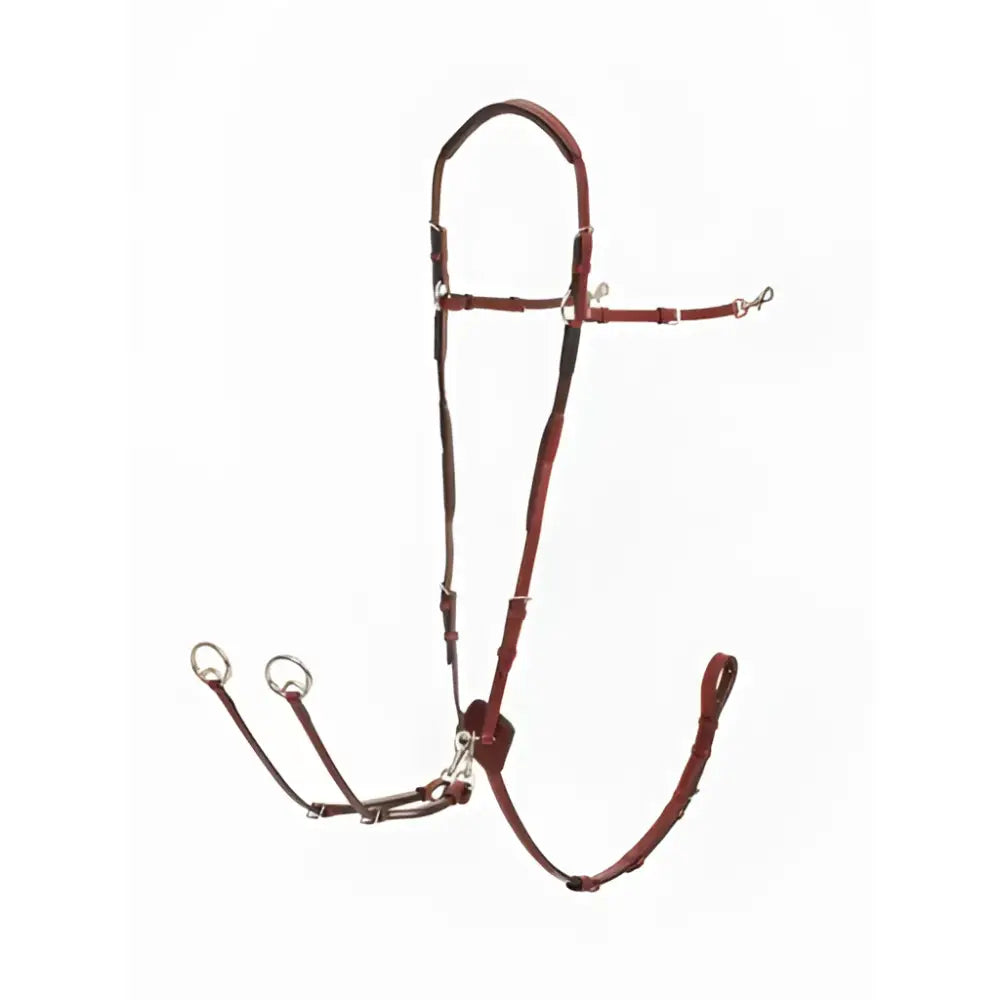 Brown leather lemieux breastplate chestnut silver with black accents and silver martingale attachment hardware