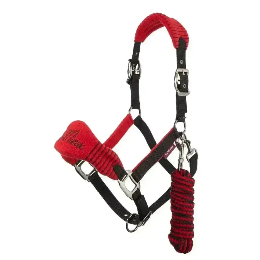 Red and black lemieux chilli vogue fleece headcollar with silver buckles and matching coiled leadrope visible