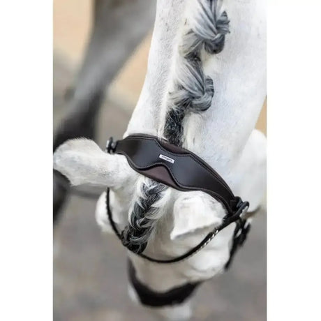 LeMieux Classic Browband Brown Leather Twilight X Full Browbands