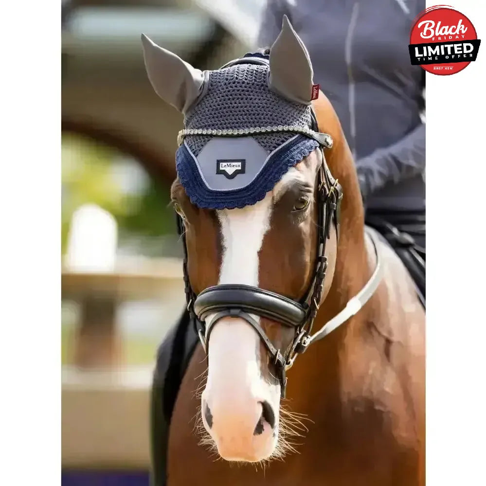 LeMieux Classic Browband Brown Leather Twilight X Full Browbands