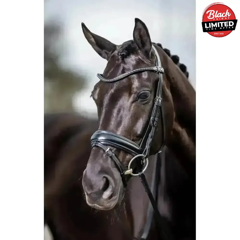 LeMieux Classic Browband Brown Leather Twilight X Full Browbands