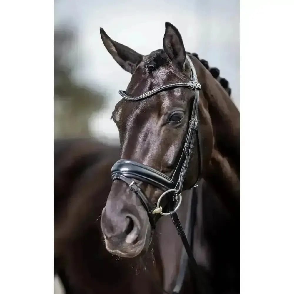 LeMieux Classic Browband Brown Leather Twilight X Full Browbands