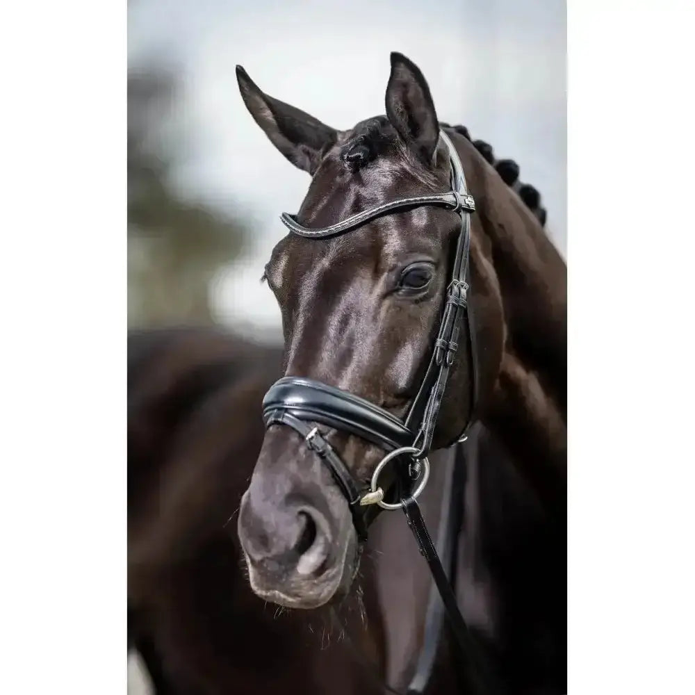 Black leather lemieux classic browband horse bridle with silver hardware and swarovski crystals details