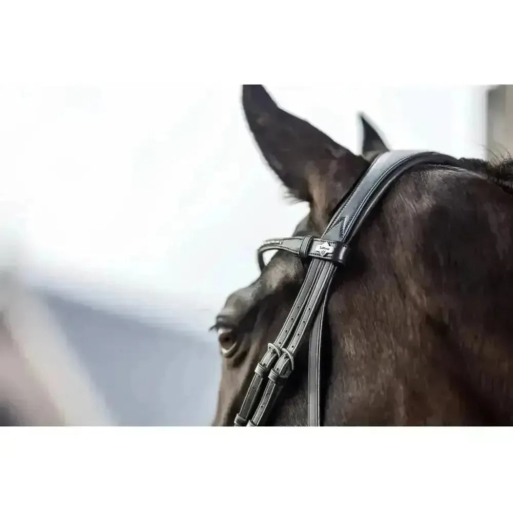 LeMieux Classic Browband Brown Leather Twilight X Full Browbands