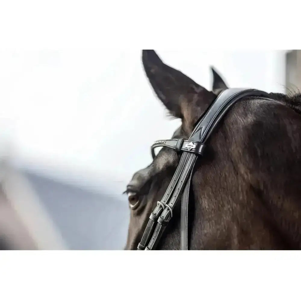 Black leather horse bridle with silver hardware featuring lemieux classic browband and sparkling swarovski crystals