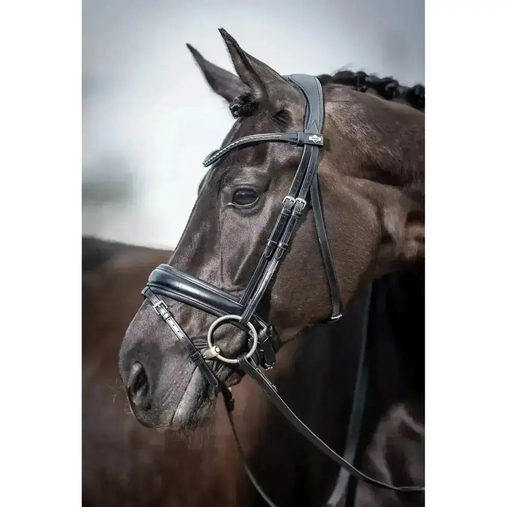 Black leather lemieux classic dressage bridle with silver hardware and padded crank noseband with decorative stitching