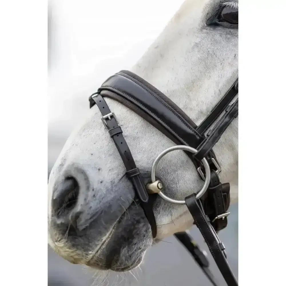 LeMieux Classic Dressage Bridle Black Cob Bridles