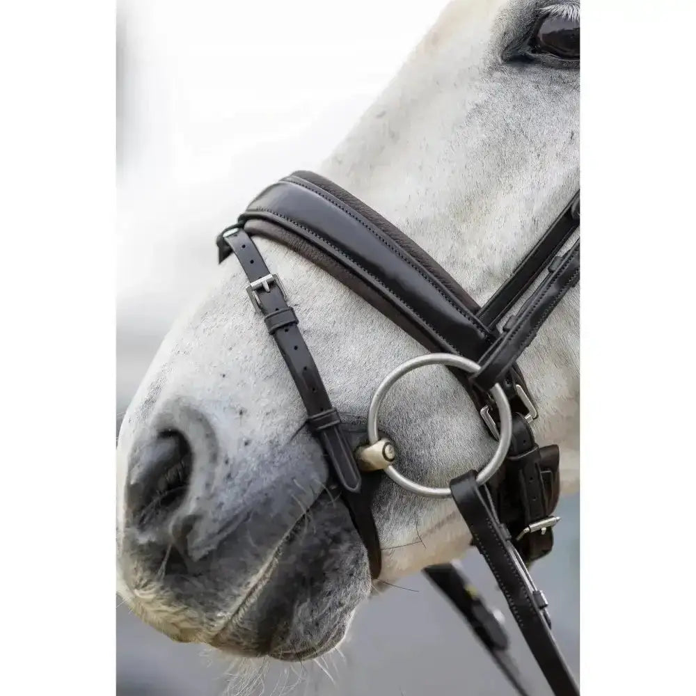 Black leather lemieux classic dressage bridle with silver rings and padded crank noseband for dressage use
