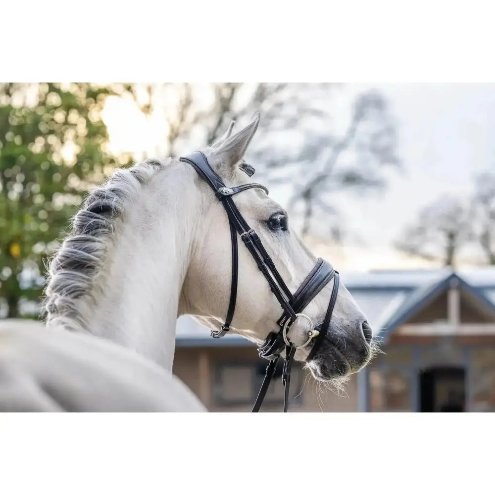 A sleek black leather lemieux classic dressage bridle with silver hardware and a padded crank noseband