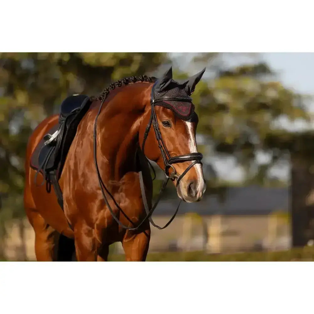 Black leather lemieux classic fly hood cinder with braided trim and protective ear covers for horse protection