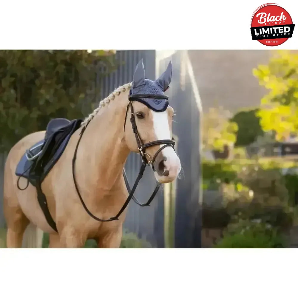 Lemieux Classic Fly Hood Jay Blue Large Horse Ear Bonnets