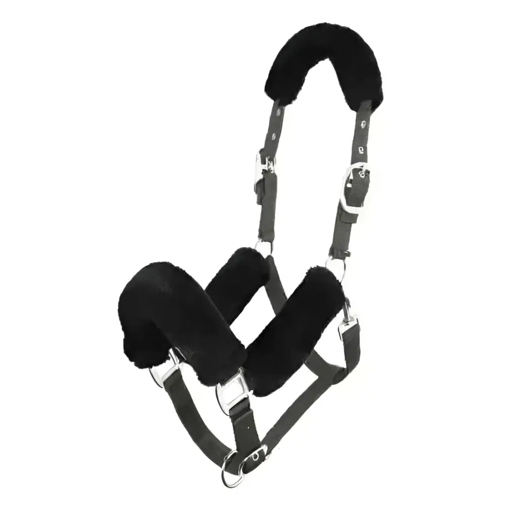 Black fleece-lined lemieux comfort headcollar with adjustable straps and metal hardware for durable use