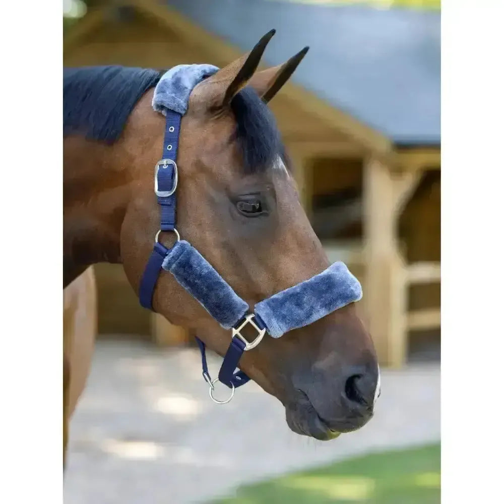 LeMieux Comfort Headcollars Navy / Navy Pony Headcollars