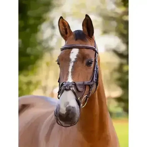 LeMieux Comfort Shield Grackle Nose Filter 2pk Brown Small Brown Nose Covers