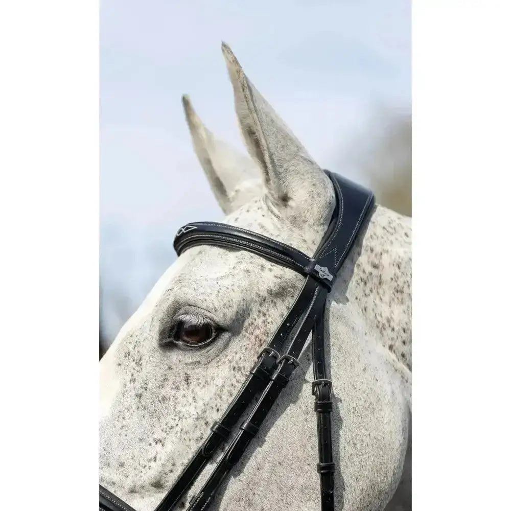 Black leather lemieux competition flash bridle with silver hardware stitched detailing and detachable flash loop