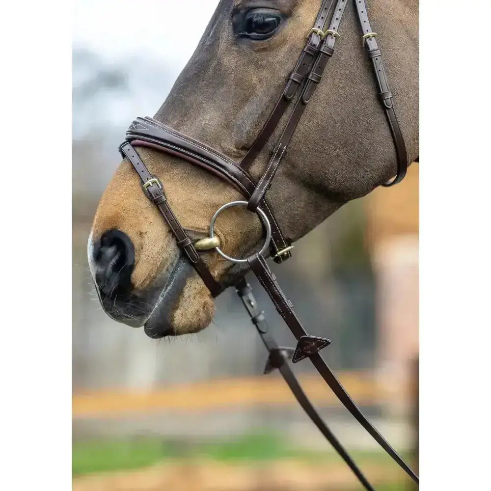 Brown leather lemieux competition flash bridle with brass hardware and detachable flash loop for shows and training