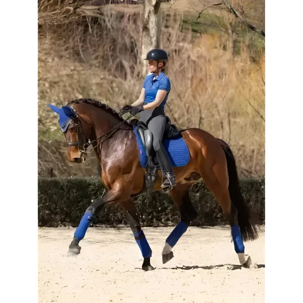 A brown horse wearing blue protective wraps and a lemieux cotton dressage square with super soft bamboo lining