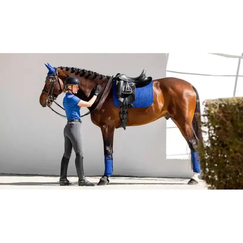 Brown horse wearing lemieux cotton dressage square benetton with super soft bamboo lining absorbs sweat efficiently