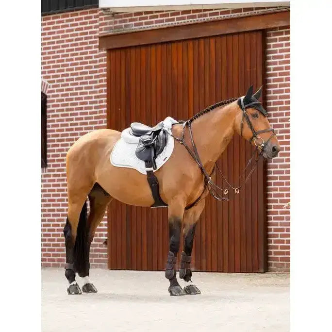 A sleek chestnut horse wearing lemieux crystal suede close white saddle pad and black leg wraps for jumping saddles