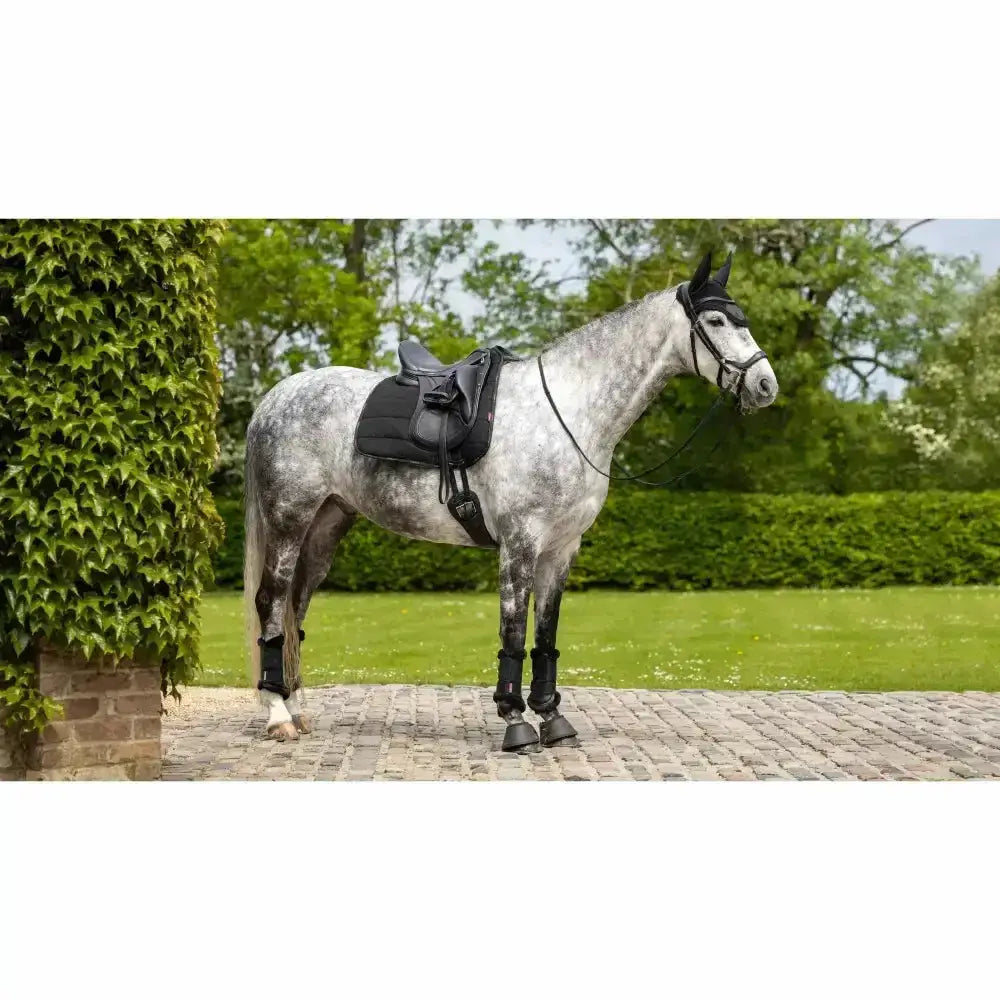 A sleek black lemieux dressage work pad with padded straps and contoured seat fitted securely on horse back