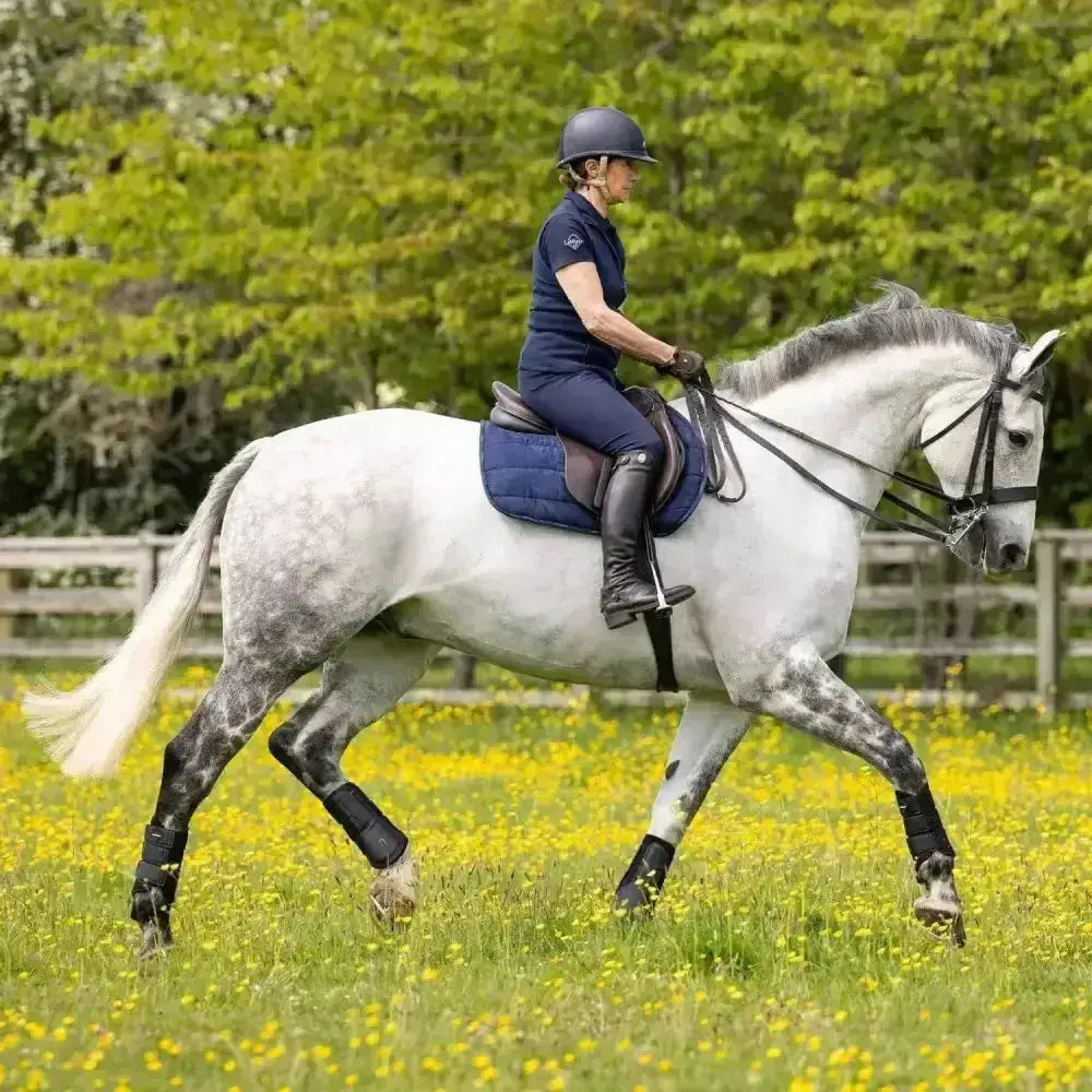 A white horse with black leg wraps wearing a navy lemieux dressage work pad during a dressage work session