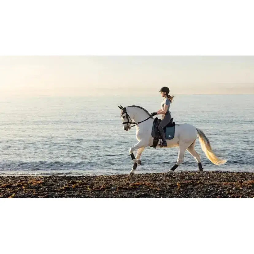 A white horse wearing lemieux earth dressage saddle pads in ocean blue trots along the shoreline gracefully