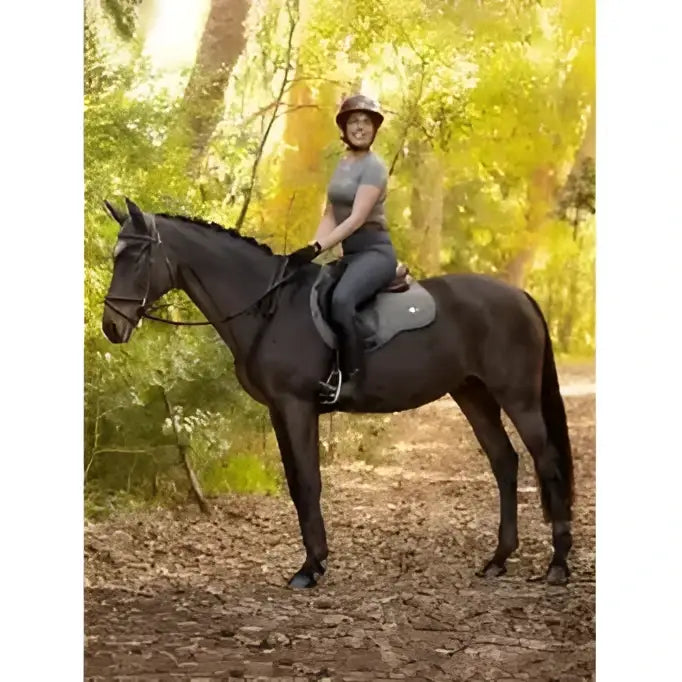 A dark brown horse with black mane wearing lemieux earth gp square moss purpose saddle pad and riding gear