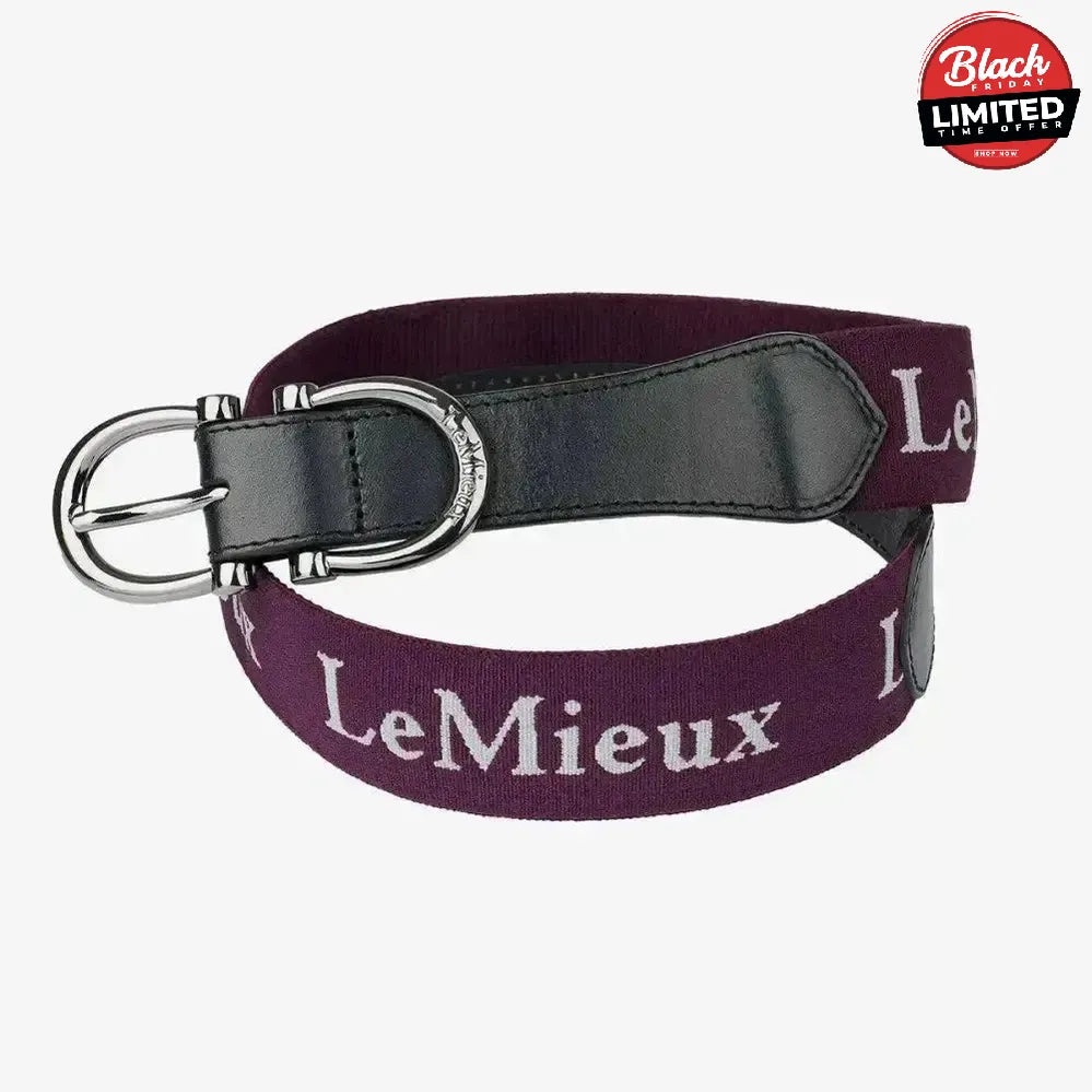 LeMieux Elasticated Belt Fig Small Belts
