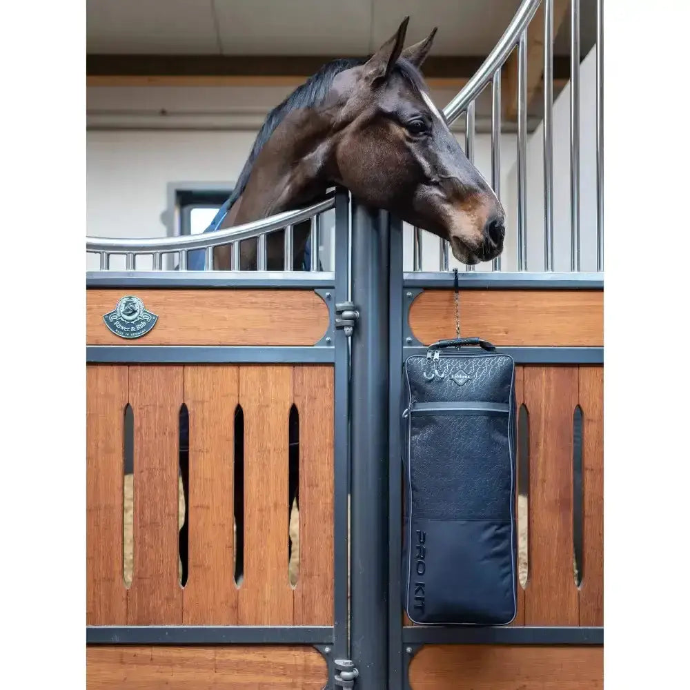 Black textured lemieux elite pro bridle bag with silver logo and vertical lettering hanging from a gate