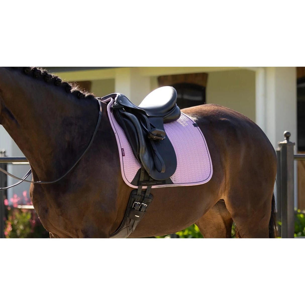 Lemieux Essence Dressage Square Fondant Fondant Small/Medium Dressage Saddle Pads