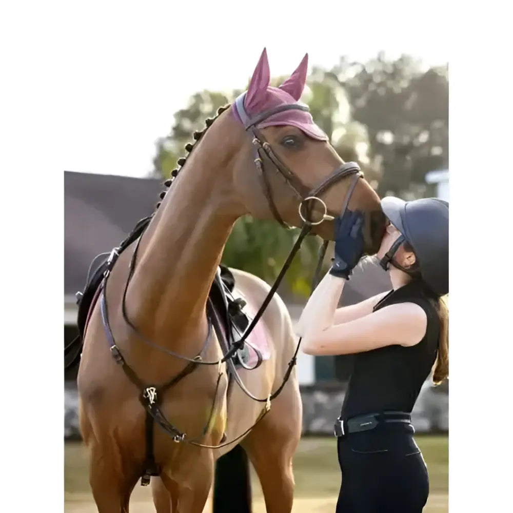 A brown horse wearing a lemieux finesse acoustic rosewood fly hood with pink bridle and ear covers