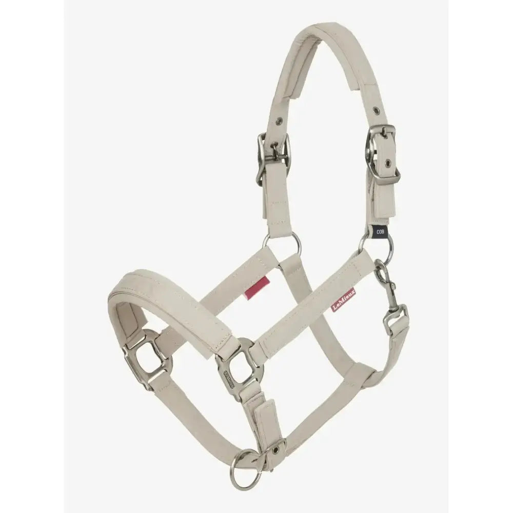 Beige leather lemieux finesse headcollar stone with silver metal hardware and adjustable buckles for horses