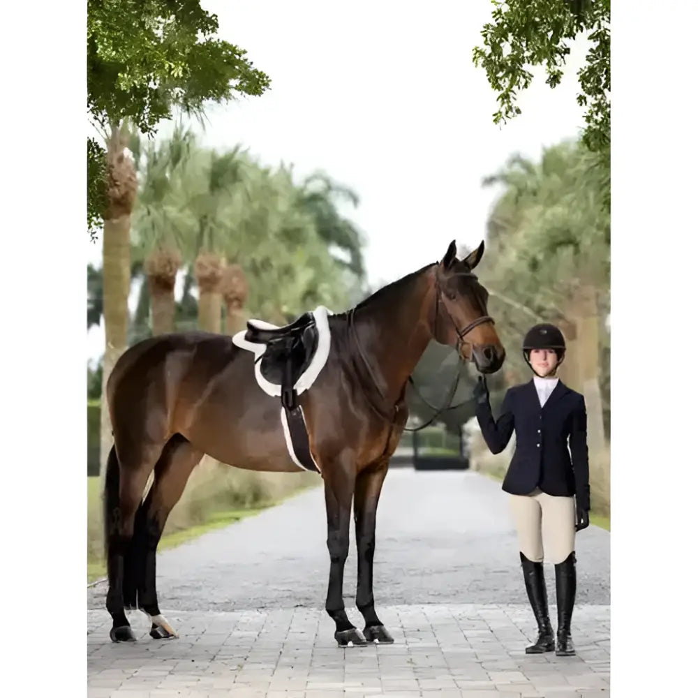 A dark brown horse wearing a lemieux flat hunter bridle with laced reins havanna silver and sleek black mane