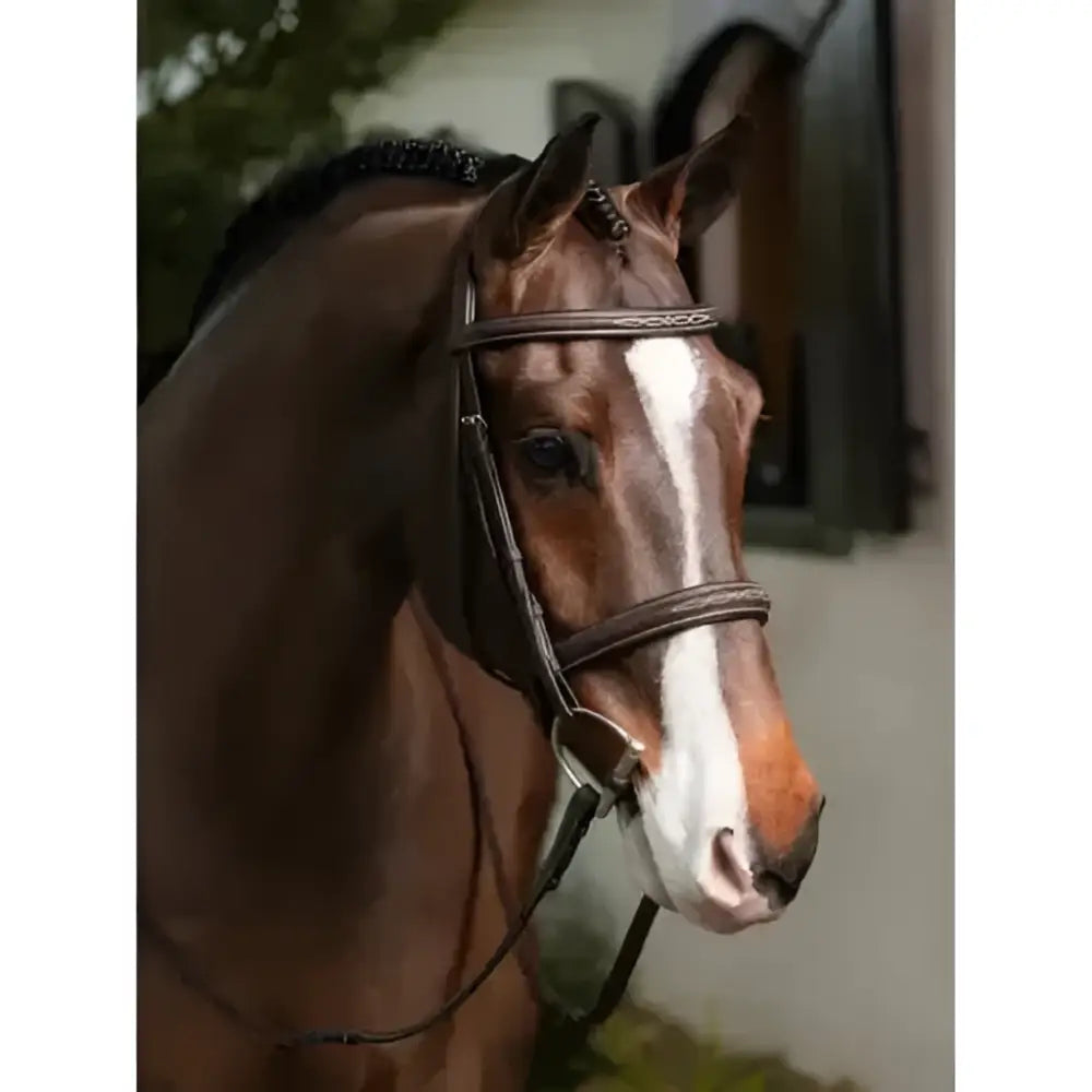 Brown horse wearing a lemieux flat hunter bridle with black leather and laced reins havana silver and white blaze