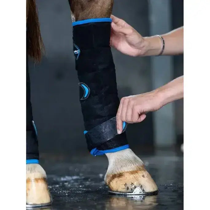 Black hind leg wrap with blue trim and circular design accents from lemieux freeze flow ice boot hind collection