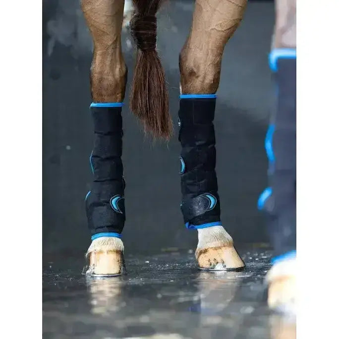 Black lemieux freeze flow ice boot hind with blue trim and circular accents on leg wraps, shown from back side