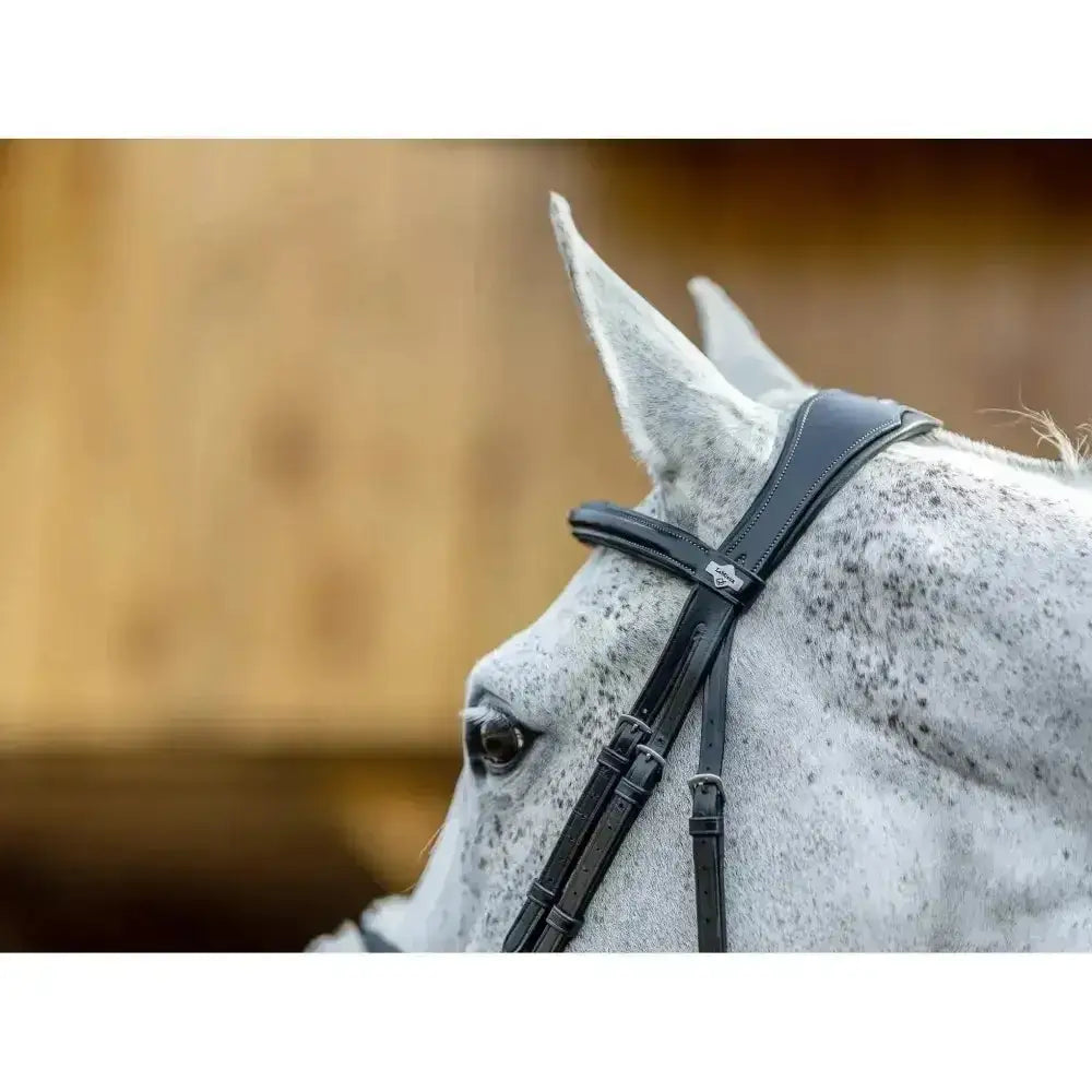 Black leather lemieux grackle bridle with subtle logo on browband and merino wool padding for comfort