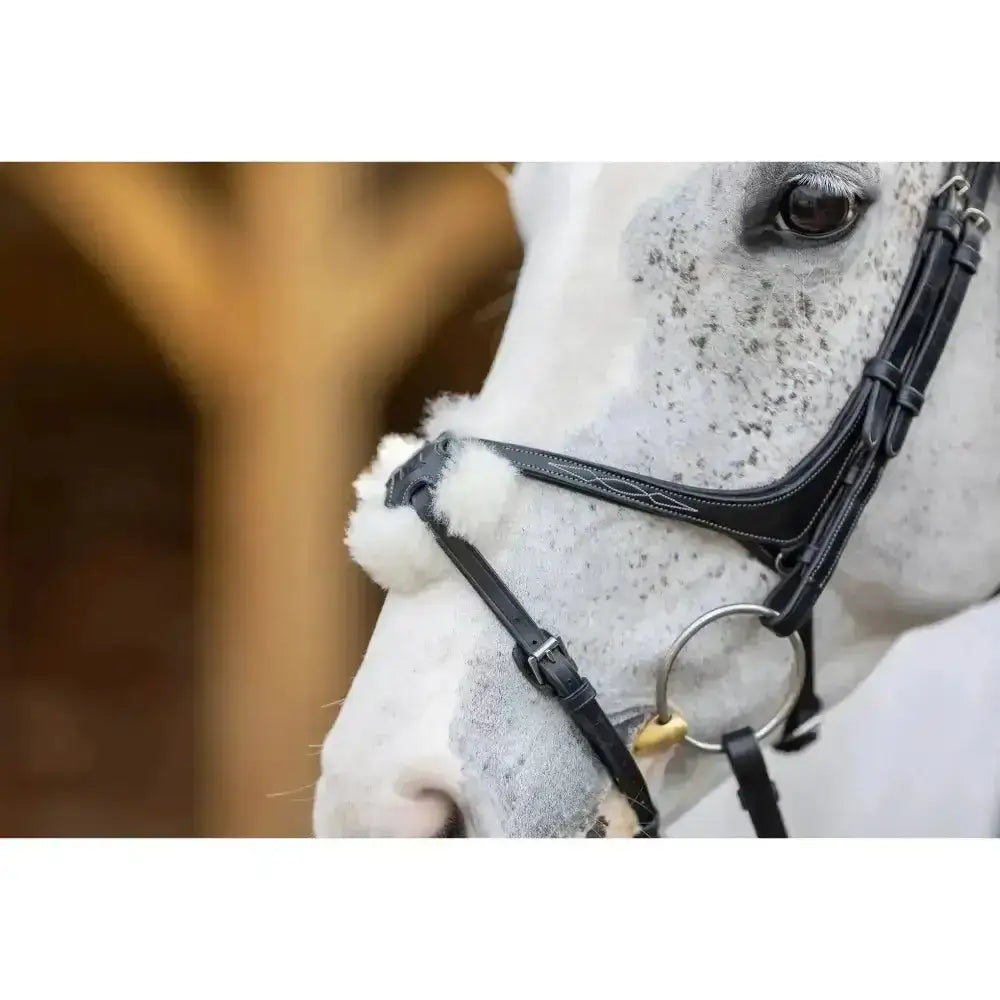 Black leather lemieux grackle bridle with white merino wool padding and silver stitching for comfortable riding