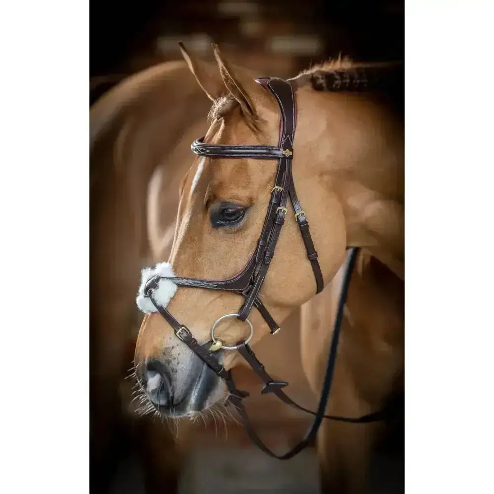 Black leather lemieux grackle bridle with silver hardware and white merino wool fur noseband for comfort