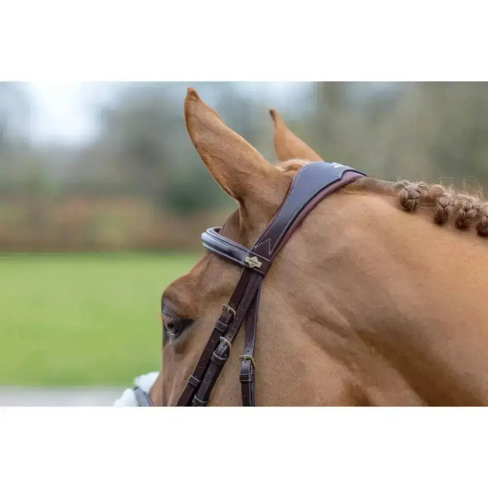 Brown leather lemieux grackle bridle with dark brown straps gold hardware and soft merino wool padding