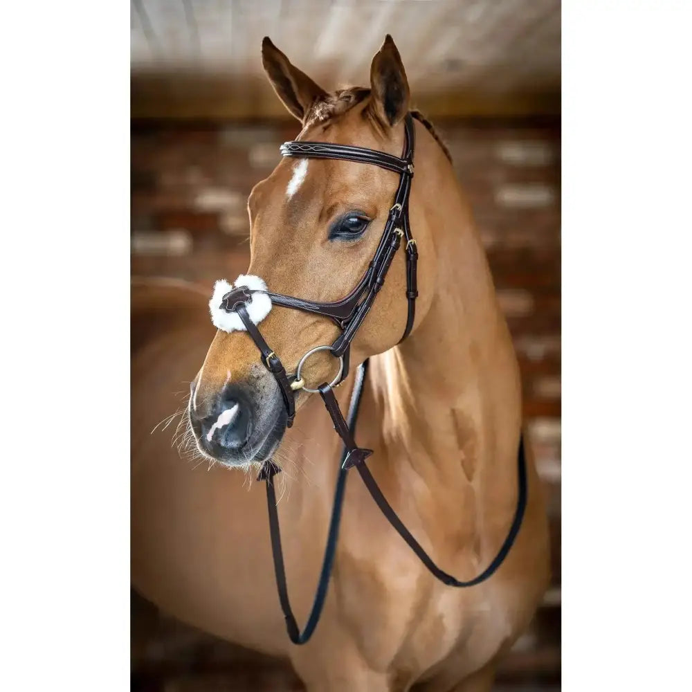 Brown horse wearing a lemieux grackle bridle with black leather and white merino wool fur trim