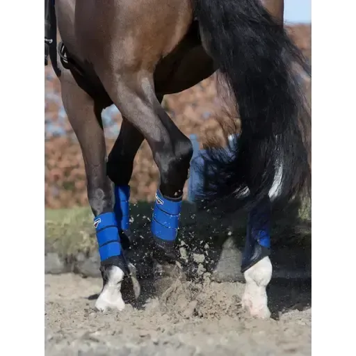 LeMieux Grafter Brushing Boot Benetton Benetton Small Horse Boots