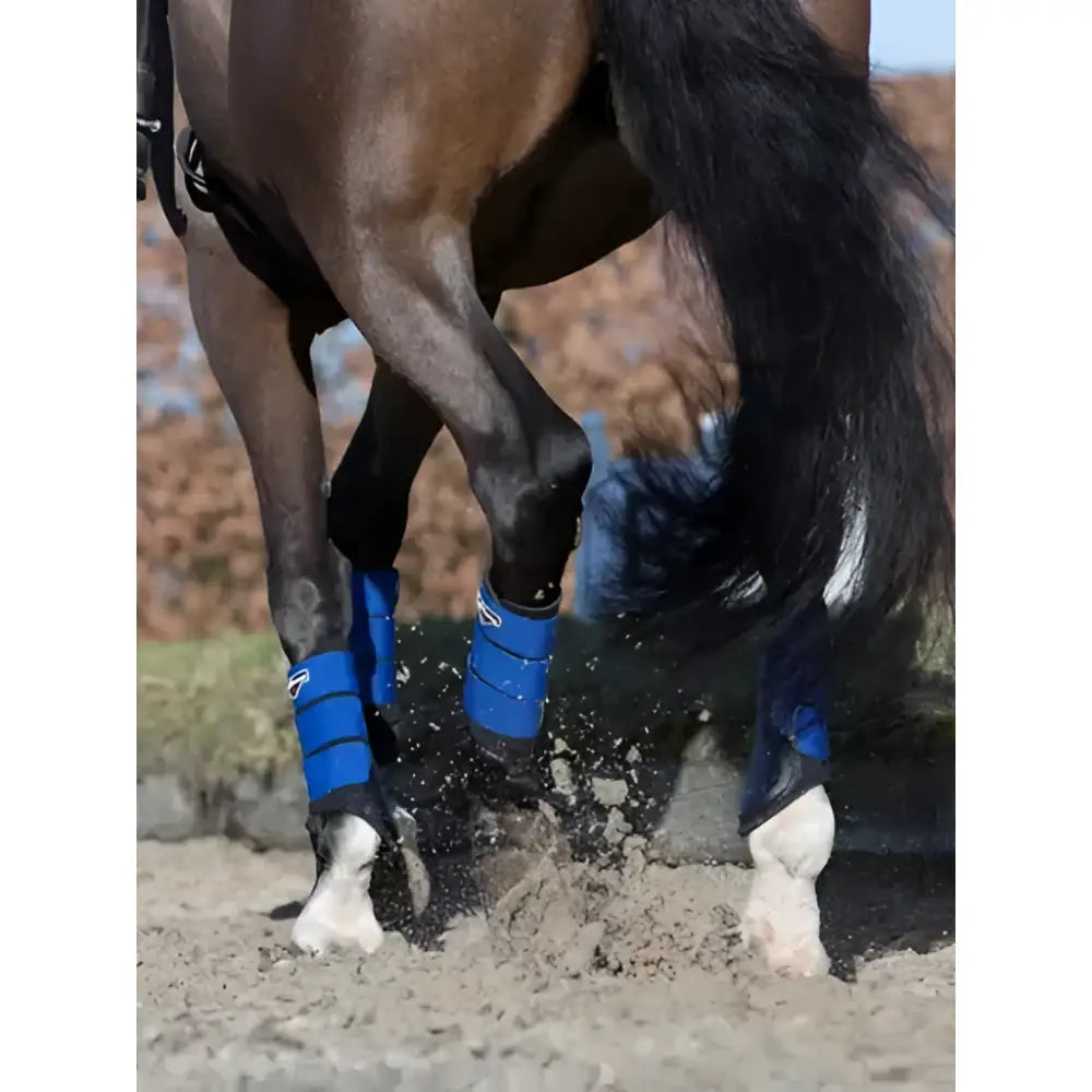 Blue lemieux grafter brushing boot benetton with black trim and white logo detail for horse leg protection