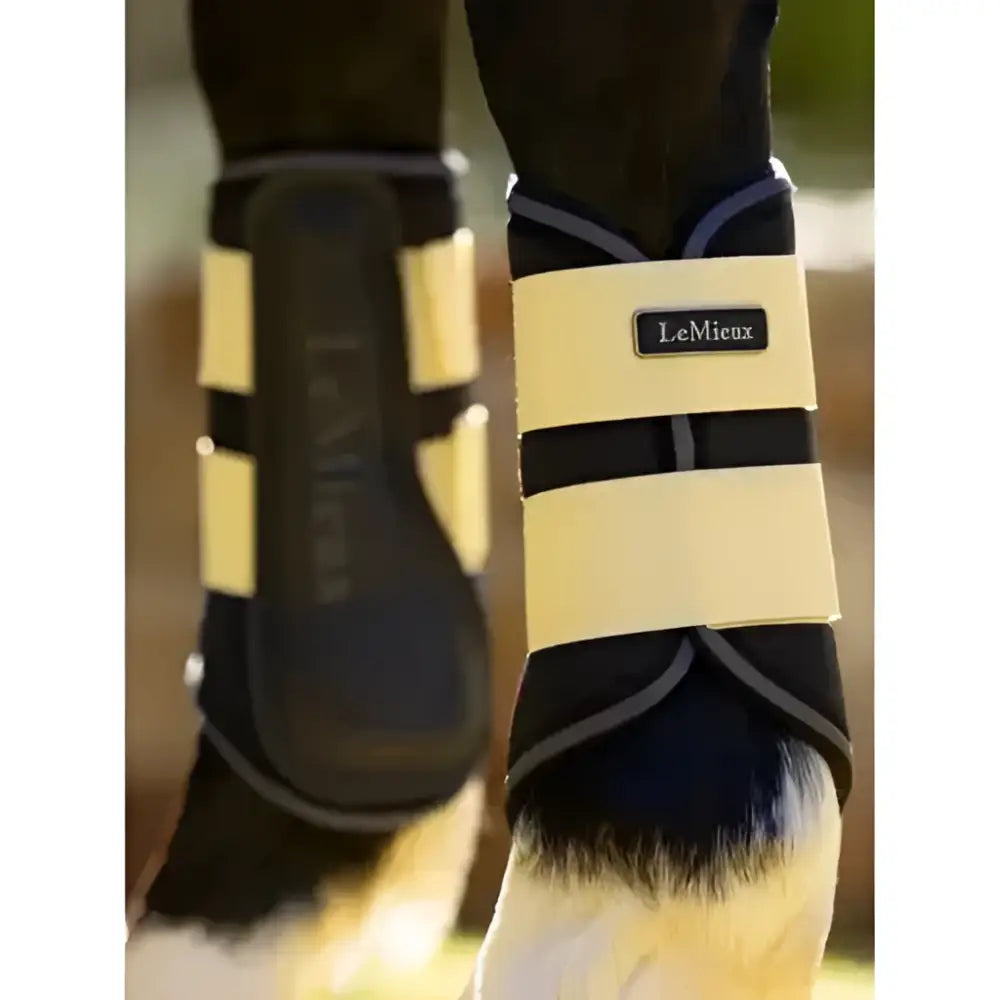 Black and cream lemieux grafter brushing boots mimosa with adjustable straps for horse leg protection